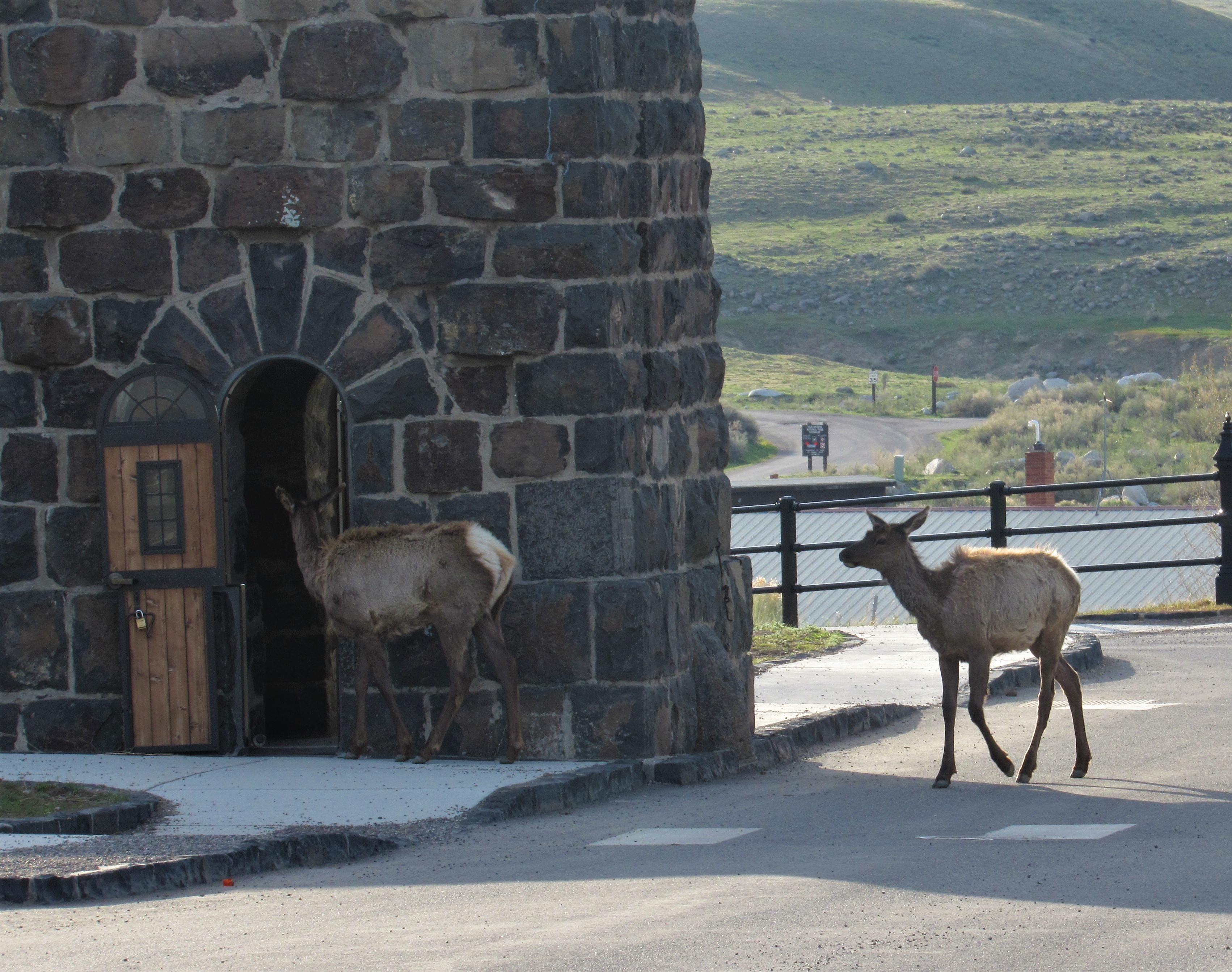 Roosevelt Arch