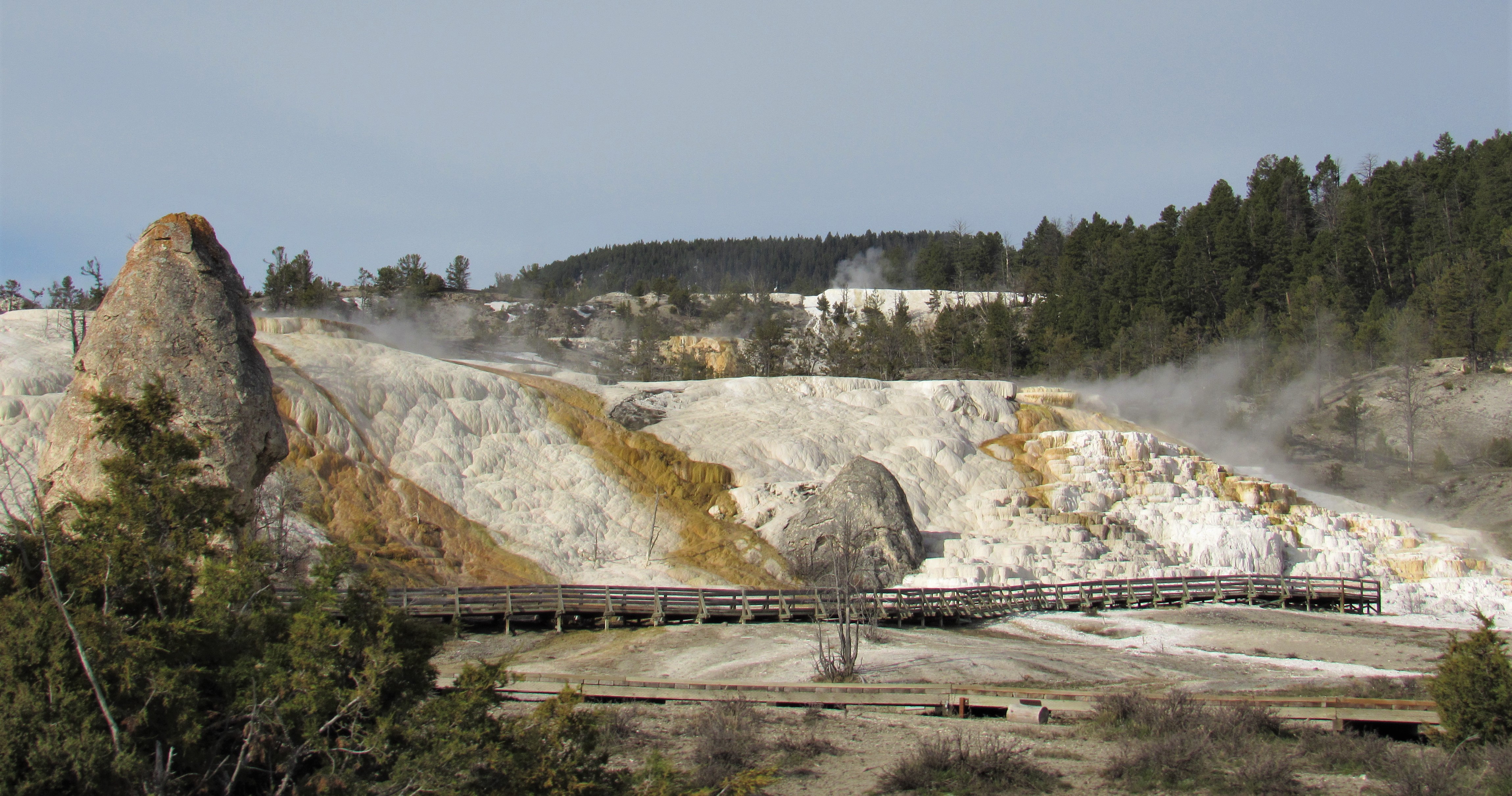 Mammoth Hot Springs