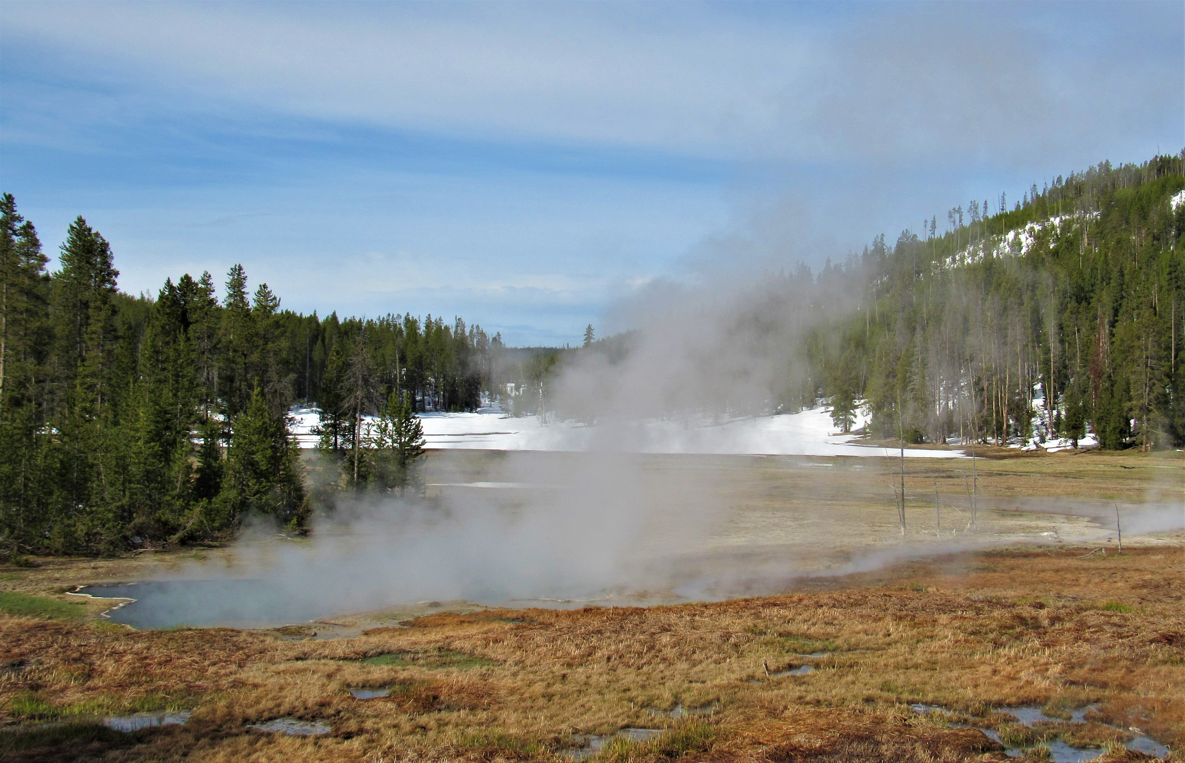 Yellowstone