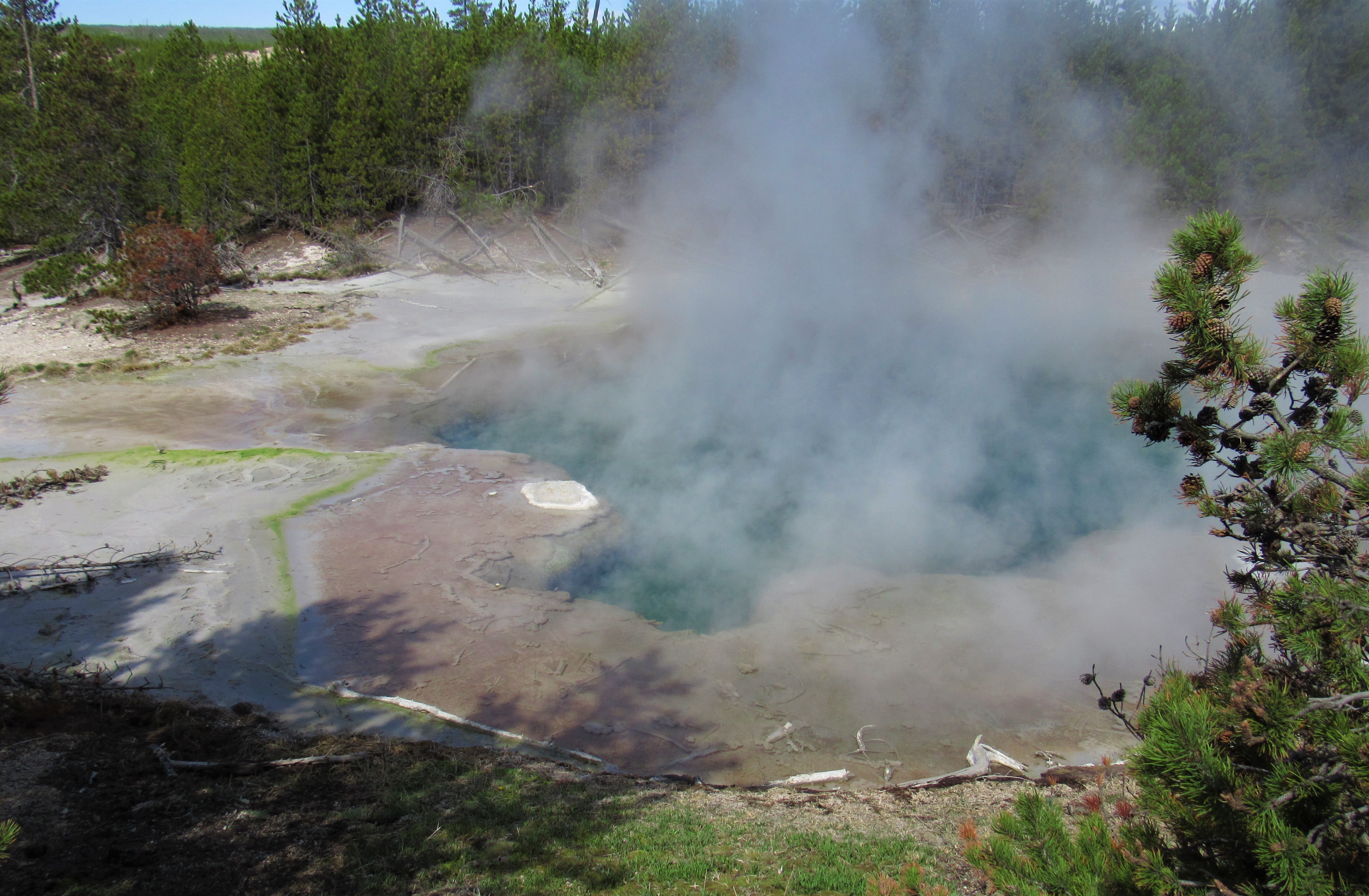 Emerald Spring