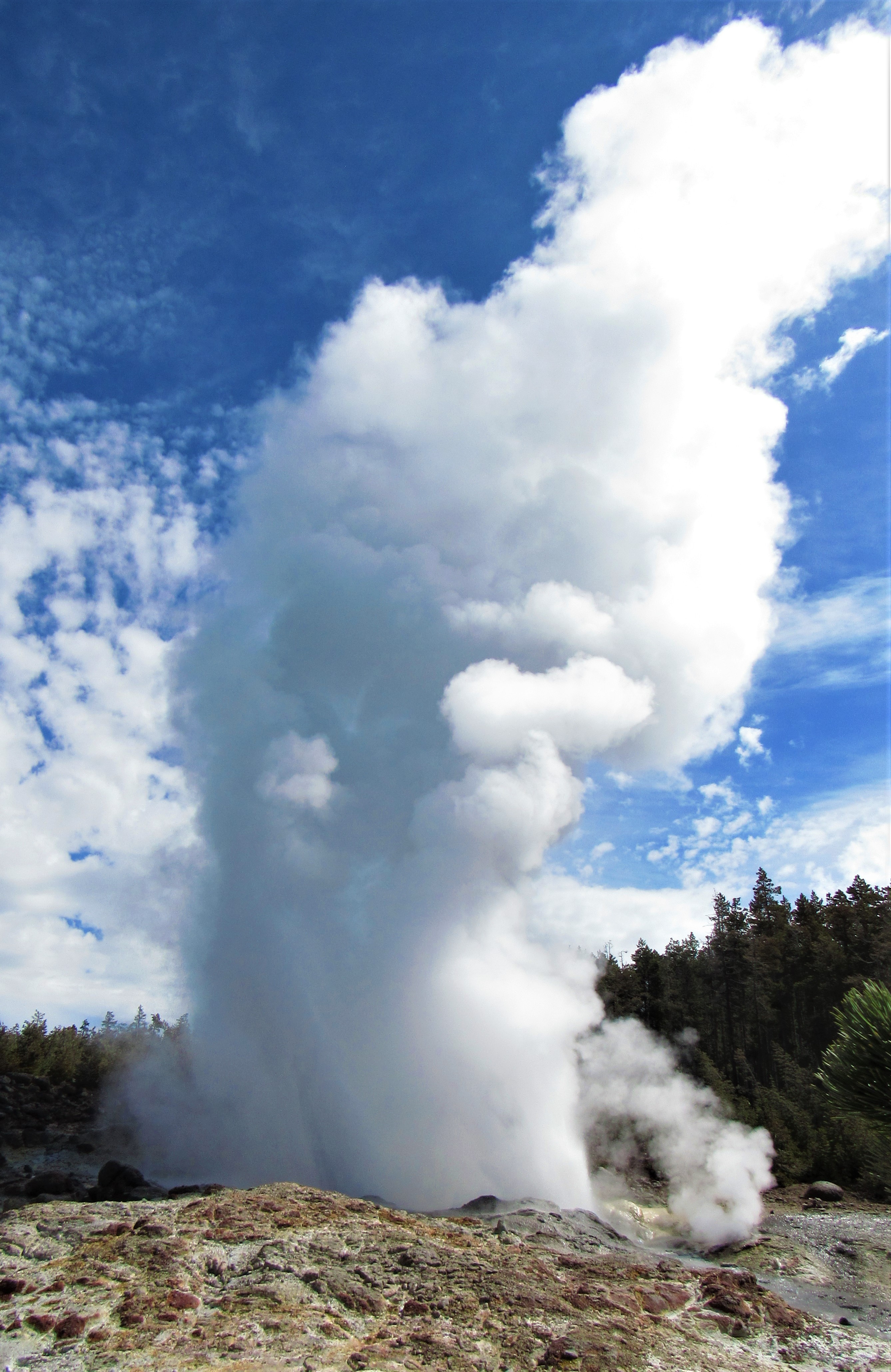 Steamboat Geyser