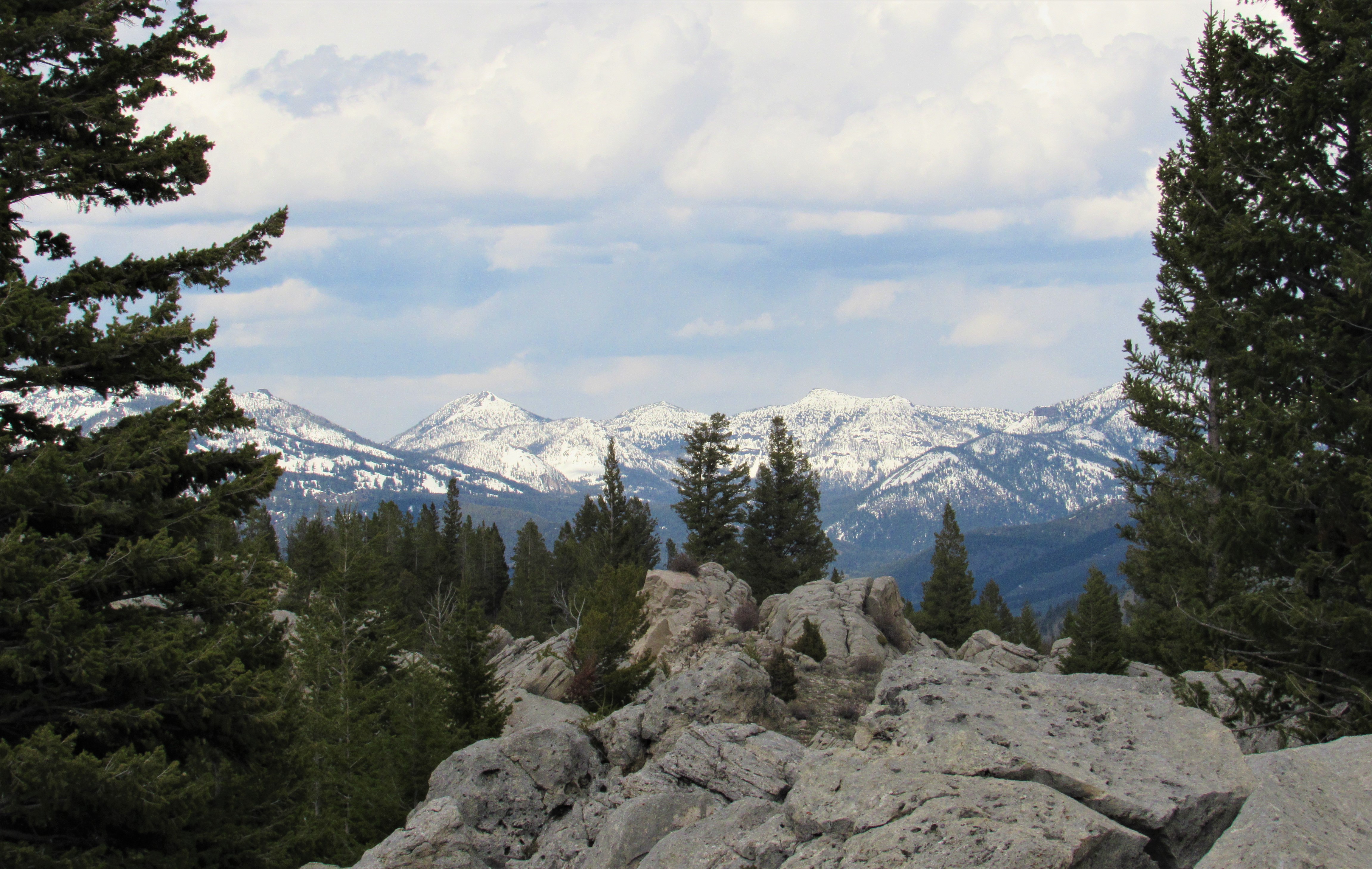 Yellowstone mountain views